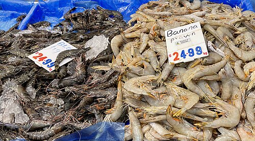 Frozen IQF Black Tiger Prawns