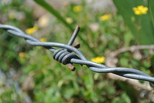 Galvanized Iron Wire Rolls