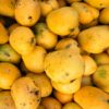 A close-up of ripe Indian mangoes in vibrant yellow hues, perfect for summer fruit themes.