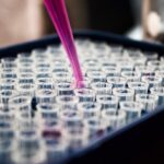 test tubes being filled with chemicals then ready to be exported